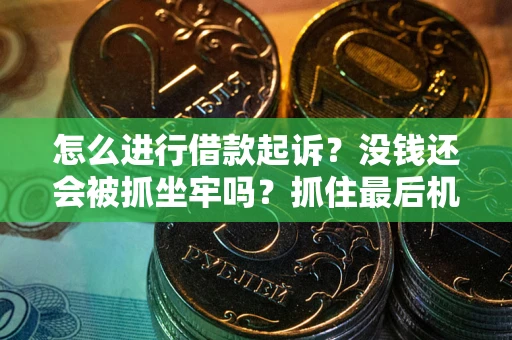 武汉怎么进行借款起诉？没钱还会被抓坐牢吗？抓住最后机会！