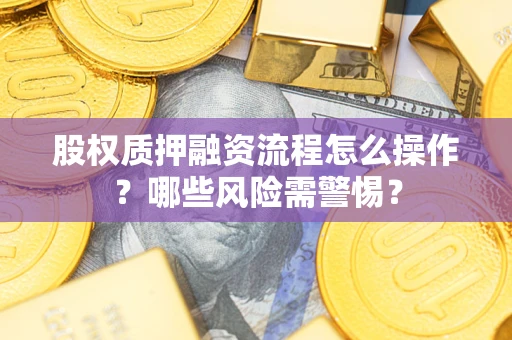 武汉股权质押融资流程怎么操作？哪些风险需警惕？
