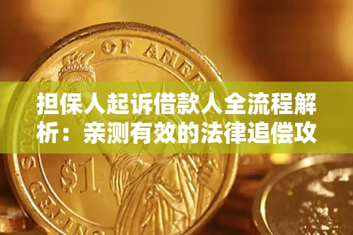 武汉担保人起诉借款人全流程解析：亲测有效的法律追偿攻略
