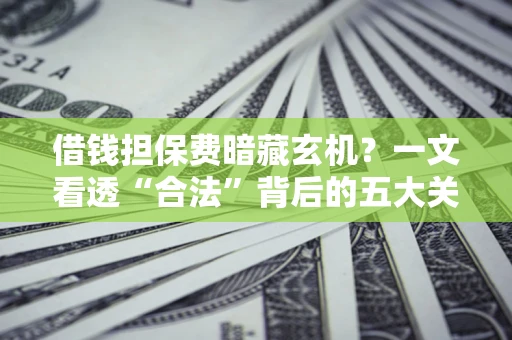 武汉借钱担保费暗藏玄机？一文看透“合法”背后的五大关键陷阱