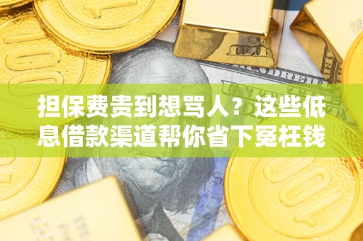 武汉担保费贵到想骂人？这些低息借款渠道帮你省下冤枉钱