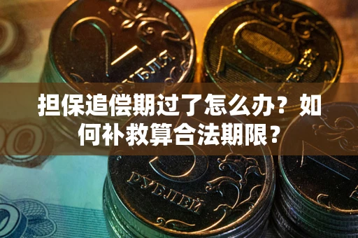 武汉担保追偿期过了怎么办？如何补救算合法期限？