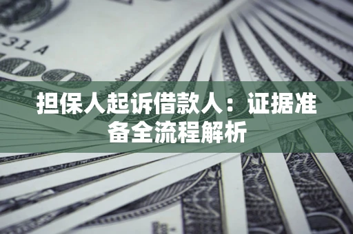 武汉担保人起诉借款人：证据准备全流程解析