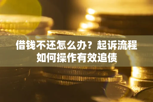 武汉借钱不还怎么办？起诉流程如何操作有效追债
