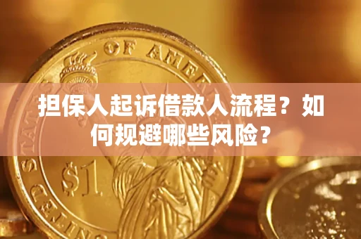 武汉担保人起诉借款人流程？如何规避哪些风险？
