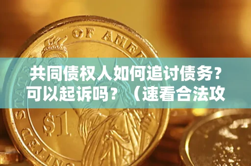 武汉共同债权人如何追讨债务？可以起诉吗？（速看合法攻略）