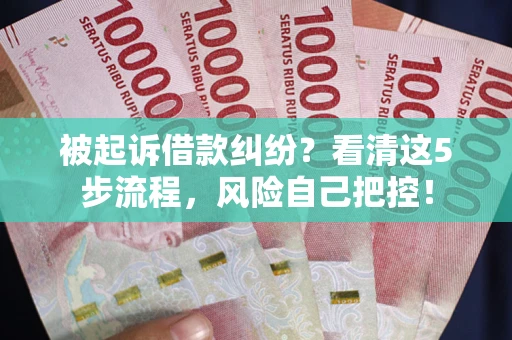 武汉被起诉借款纠纷？看清这5步流程，风险自己把控！