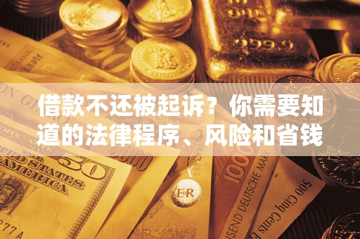 武汉借款不还被起诉？你需要知道的法律程序、风险和省钱技巧