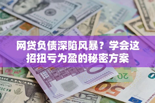 武汉网贷负债深陷风暴？学会这招扭亏为盈的秘密方案